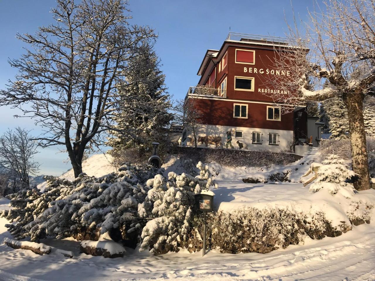 Hotel Bergsonne Rigi Rigi Kaltbad Exterior photo